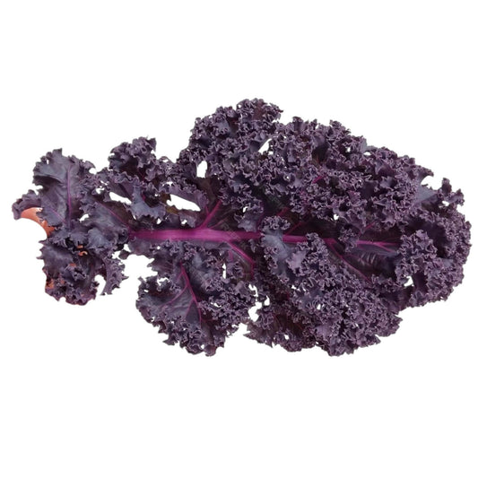 Organic Purple Kale