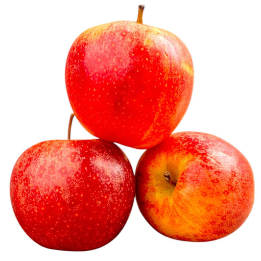 Large Honeycrisp Apple - Each