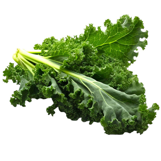 Organic Lacinato Kale