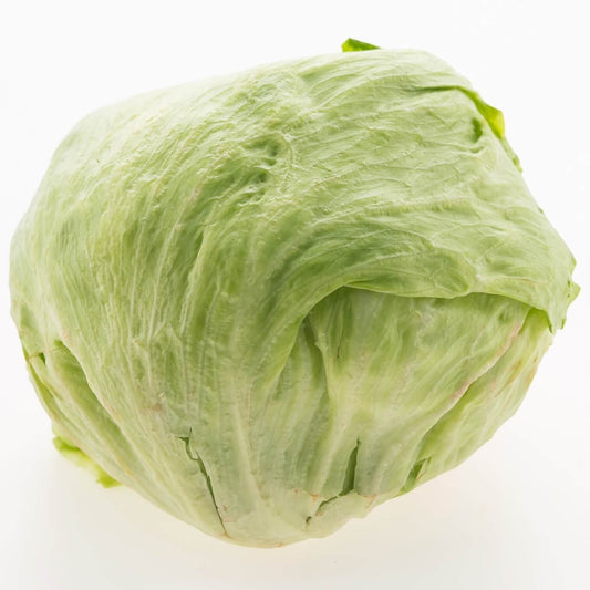 Iceberg Lettuce