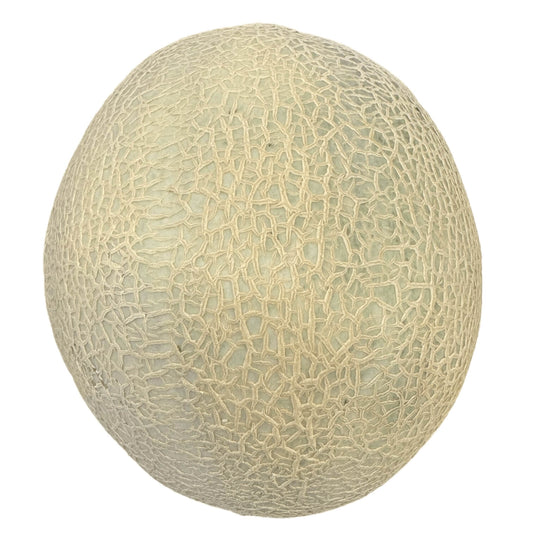 Cantaloupe