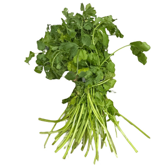 Organic Cilantro
