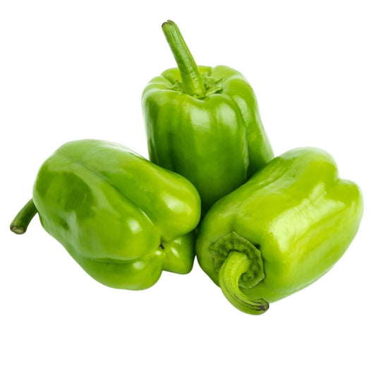 Fresh Large Green Bell Pepper