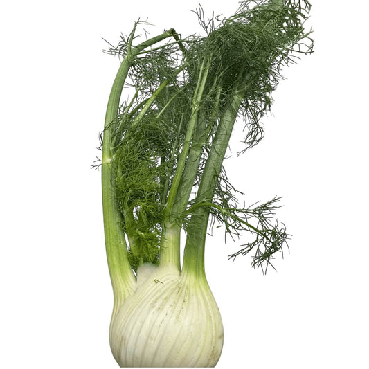 Organic - Fennel